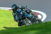 PJ-Motorsport-Photography-2020;anglesey;brands-hatch;cadwell-park;croft;donington-park;enduro-digital-images;event-digital-images;eventdigitalimages;mallory;no-limits;oulton-park;peter-wileman-photography;racing-digital-images;silverstone;snetterton;trackday-digital-images;trackday-photos;vmcc-banbury-run;welsh-2-day-enduro